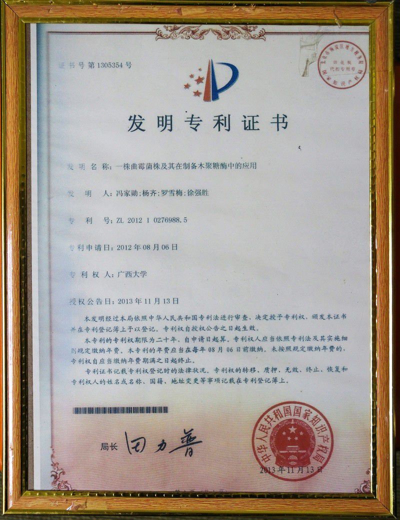 3曲霉菌株及其在制备木聚糖酶中的应用.jpg