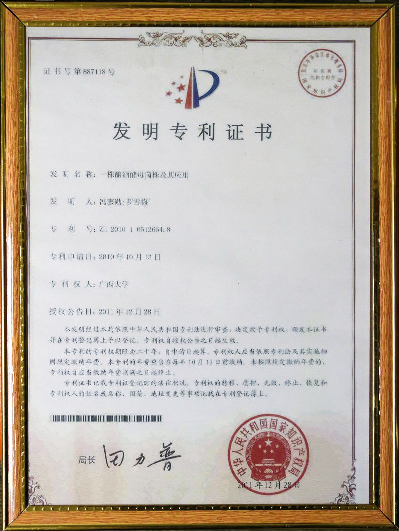 4酿酒母菌株及其应用.jpg