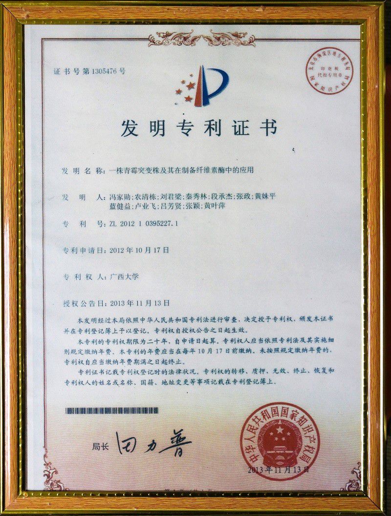 5青霉突变株及其在制备纤维素酶中的应用.jpg