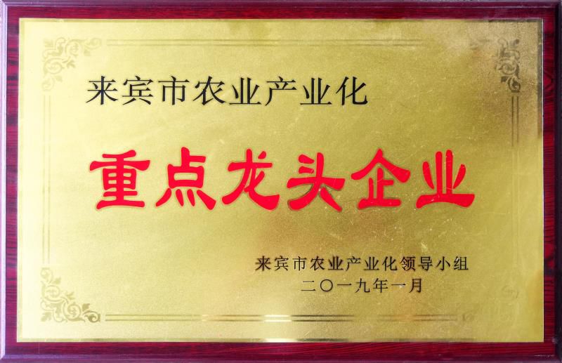 来宾市农业产业化重点龙头企业.jpg